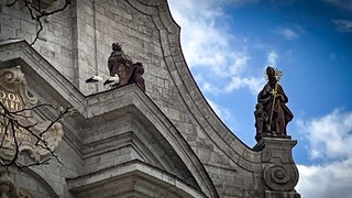 Störche auf dem Münster in Zwiefalten. Vier Storchennester wurden entfernt, zwölf Storcheneier zerstört.