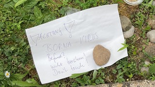 Ein Zettel mit der Aufschrift "Achtung! Borna-Virus". Passanten hatten in Tübingen einen krank wirkenden Igel entdeckt und vermutet, er könnte mit dem Borna-Virus infiziert sein.