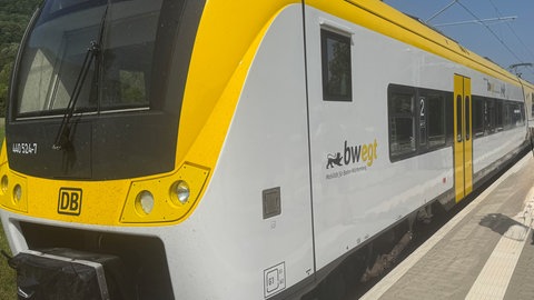 Bahn fährt in den Bahnhof von Dettingen-Gsaidt