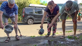 Anwohner bekämpfen invasive Ameisen mit kochendem Wasser 