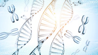 2001 wurde zum ersten Mal die gesamte Erbinformation eines Menschen entschlüsselt. Derzeit wird eine Datenbank mit tausenden Genomen aufgebaut – analysiert in Tübingen.
