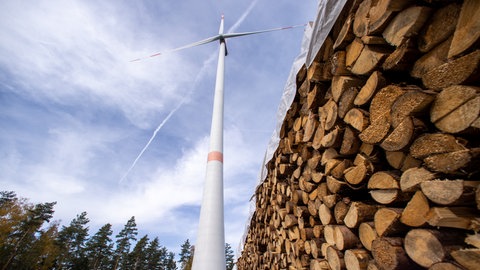 Eine Windkraftanlage steht im Wald (Symbolbild). Der Gemeinderat Horb hat dem Bürgerentscheid zur Windkraft auf kommunalen Waldflächen grünes Licht gegeben. 