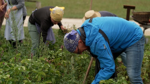 Menschen bei der Gartenarbeit, Teambuilding wie im 19. Jahrhundert im Freilichtmuseum Neuhausen ob Eck