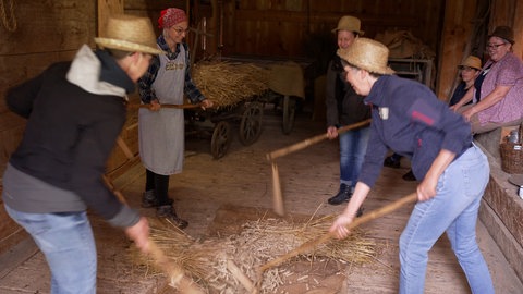 Korn dreschen, Teambuilding wie im 19. Jahrhundert im Freilichtmuseum Neuhausen ob Eck
