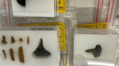 Nägel und andere kleine Eisenteile, die im Labor des Denkmalamtes aufbewahrt werden. Sie dokumnetieren zum Beispiel, wir die Kelten Wagenräder bauten.