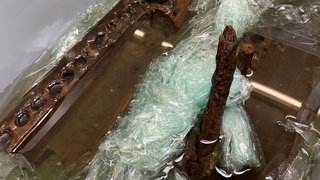 Ein Stück Holz mit Löchern und eine kleine Sprosse aus Holz, gefunden bei der keltischen Grabkammer Riedlingen.