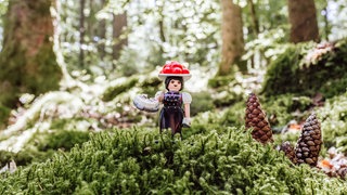Mitte August war die Playmobil-Figur der "Schwarzwald Marie" schnell ausverkauft. Jetzt soll sie zurück kommen.