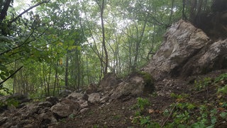 Die Honauer Steige bei Lichtenstein (Kreis Reutlingen) muss wegen anhaltender Steinschlaggefahr voraussichtlich bis Mitte nächster Woche beidseitig gesperrt bleiben.