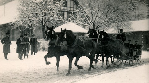 Ein historisches Bild von mehreren Männern, die in einem Schlitten sitzen, der von vier Pferden gezogen wird. Damals hieß die Marbacher Hengstparade noch "Vorführung der Hengste".  