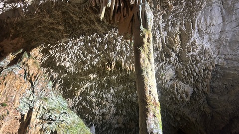 Ein großer Tropfstein hängt von der Decke der Bärenhöhle.