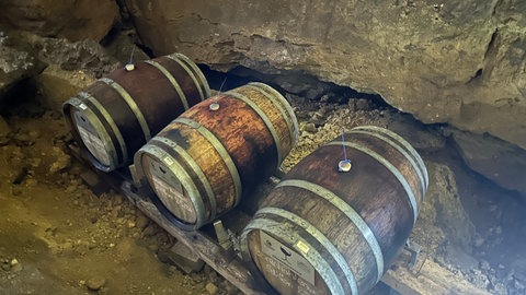 Drei Eichenfässer lagern in der Bärenhöhle. Darin befindet sich Rotwein aus Metzingen.
