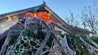 Riesige Spinnen, Skelette, Geister: Mehrere Häuser in Reutlingen-Degerschlacht sind an Halloween gruselig geschmückt.