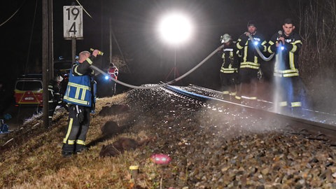 Feuerwehrleute leuchten mit Taschenlampen eine Bahnstrecke aus. Neben den Gleisen liegen mehrere tote Wildschweine. Bei Mössingen-Belsen hat ein Zug mehrere Wildschweine überfahren.