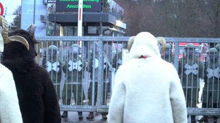 Bockzunft stürmt Albkaserne