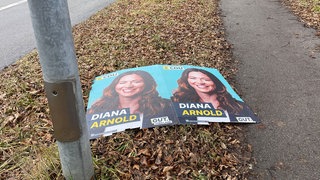 Abgerissene Wahlplakate