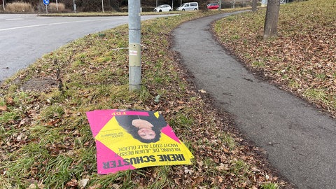 Ein abgerissenes Wahlplakat der Partei FDP liegt am Straßenrand.