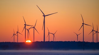 Der Sonnenaufgang leuchtet über einem Waldgebiet mit mehreren Windrädern. Im Rammert bei Tübingen könnten zehn von ihnen als Teil eines Windparks stehen. (Symbolbild)