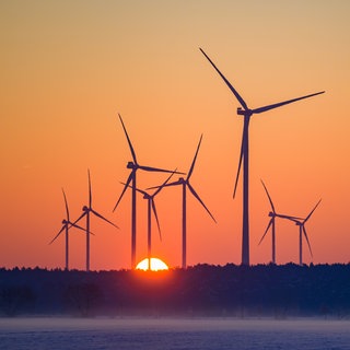 Der Sonnenaufgang leuchtet über einem Waldgebiet mit mehreren Windrädern. Im Rammert bei Tübingen könnten zehn von ihnen als Teil eines Windparks stehen. (Symbolbild)