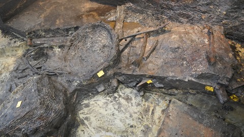 Überreste aus dem Keltengrab bei Riedlingen: Man erkennt die Reste von zwei Weidekörben und Holzstücke.