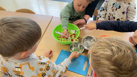 Kinder im Kindergarten in Nusplingen (Zollernalbkreis) schneiden Gemüse für ihre vier Hühner.