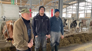 Die drei Männer stehen einträchtig nebeneinander im neuen Stall. Dort ist es ruhig und hell. Und es gibt viel Metall statt Holz. Der alte Stall war lichterloh abgebrannt. 
