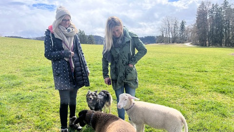 Die Tierschützerinnen Manuela Lang (links) und Katharina Reinecke (rechts) kümmern sich gemeinsam um die beiden Bocklämmer Johnny und Fred. 