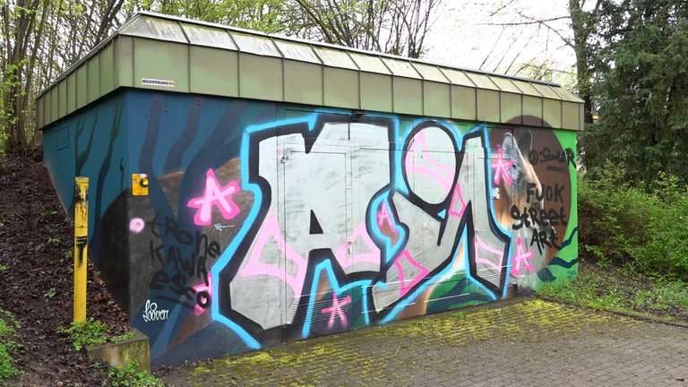 An einem Gebäude der Stadtwerke Tübingen wurde Graffiti über ein Auftragsbild gesprüht. Das Bild ist nicht mehr zu erkennen. Es steht dort jetzt ein Schriftzug: "Fuck Street Art".