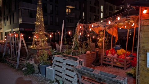 Ein beleuchteter Eiffelturm Nachbau aus Stahl steht in einem öffentlichen Garten in Tübingen. Jetzt ist er verschwunden. 
