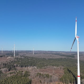 Eine Drohnenaufnahme zeigt sechs Windräder, die auf einer Waldfläche stehen. Sie gehören zum frisch eingeweihten Windpark bei Bingen.