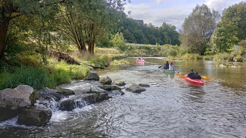 Zwei Kajaks und ein Kanu sind auf dem Neckar unterwegs. Die Insassen paddeln an einem üppig grünen Flussufer vorbei.