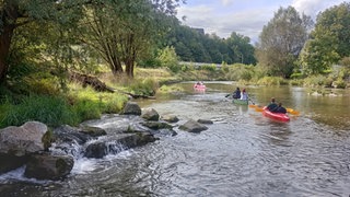 Zwei Kajaks und ein Kanu sind auf dem Neckar unterwegs. Die Insassen paddeln an einem üppig grünen Flussufer vorbei.
