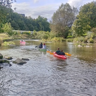 Zwei Kajaks und ein Kanu sind auf dem Neckar unterwegs. Die Insassen paddeln an einem üppig grünen Flussufer vorbei.