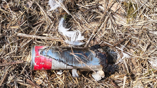 Eine angekokelte Spraydose liegt im zerstörten Nest der Schwäne in Hermentingen