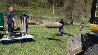 Auf dem Gelände des Haupt- und Landgestüts Marbach ist am Montagvormittag ein Blindgänger aus dem Zweiten Weltkrieg gefunden und entschärft worden. Rund 30 Menschen und gut 30 Pferde sind evakuiert worden.