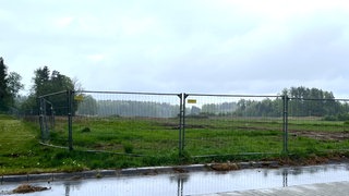 Die Wiese am Rande der Graf-Stauffenberg-Kaserne in Sigmaringen, auf der eine neue Zollschule gebaut werden sollte.