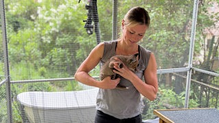 Katharina Reinecke hält einen Fuchs