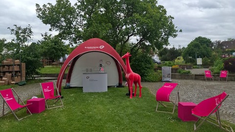 Die pinke Giraffe Gisela steht vor einem pinken Zelt eines Sponsoren auf der GardenLife in Reutlingen