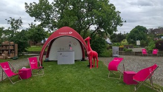 Die pinke Giraffe Gisela steht vor einem pinken Zelt eines Sponsoren auf der GardenLife in Reutlingen