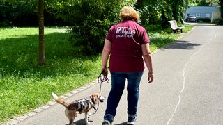 PetTrailerin Yeana Hack ist draußen mit ihrem Beagle Sebbi auf Spurensuche.
