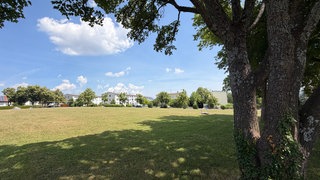 Eine Wiese mit Fußballtoren und einer Bank. Der Fürst von Sigmaringen will dort Wohnhäuser bauen.