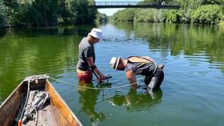 Jonas Hörrmann aus Tübingen sucht seinen Ehering im Neckar, nachdem er ihn beim Tübinger Stocherkahnrennen verloren hat. 