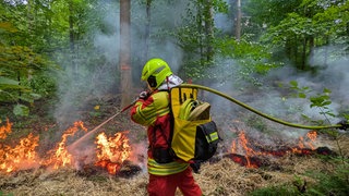 Ein Feuerwehrmann hält einen Schlauch auf eine brennende Wiese im Wald. 