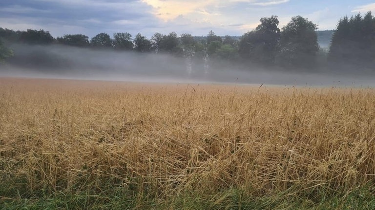 Nach dem Unwetter in Reutlingen und Umgebung.