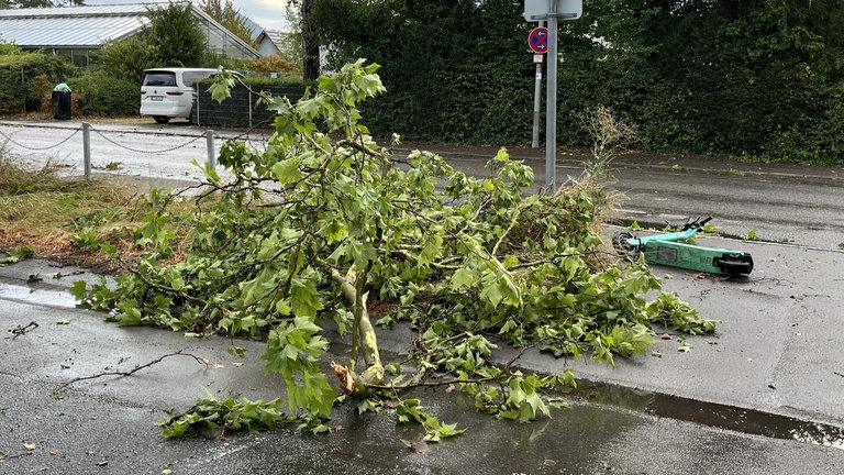 Ein Ast liegt auf dem Parkplatz am Reutlinger Freibad nach dem Unwetter.