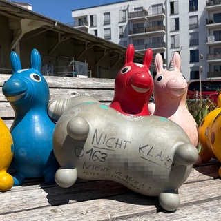 Sechs Hüpfpferde auf einer Bank am alten Güterbahnhof in Tübingen. Auf dem Gummibauch steht "Nicht klauen" und eine Handynummer. Insgesamt sind 25 Hüpfpferde gestohlen worden. 