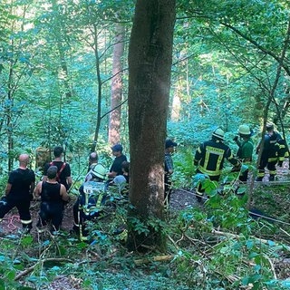 Rettungskräfte stehen auf einem schmalen Wanderweg im Wald. Ein 12-Jähriger ist beim Wandern einen Hang abgestürzt und musste aus dem Gelände gerettet werden. 
