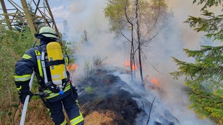 Feuerwehr löscht ein Brand im Wald. Ziegen könnten die Ausbreitung von Waldbränden verhindern. Beim Waldbrand-Forum in Rottenburg gab es einige Ideen zum Schutz vor Waldbränden. 