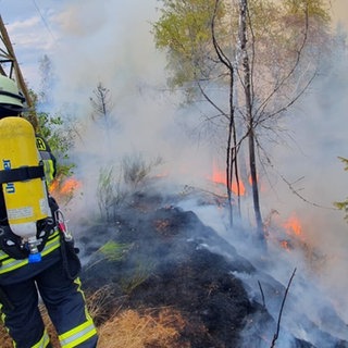Feuerwehr löscht ein Brand im Wald. Ziegen könnten die Ausbreitung von Waldbränden verhindern. Beim Waldbrand-Forum in Rottenburg gab es einige Ideen zum Schutz vor Waldbränden. 