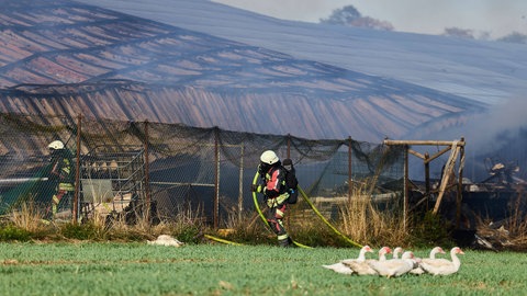 Der Brand auf einem Aussiedlerhof bei Grosselfingen (Zollernalbkreis) ist gelöscht. Die betroffene Halle ist zusammengestürzt.