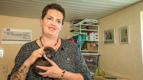 Sabrina Schrauf hat einen Marder auf dem Arm. Sie päppelt verwaiste Marder auf.